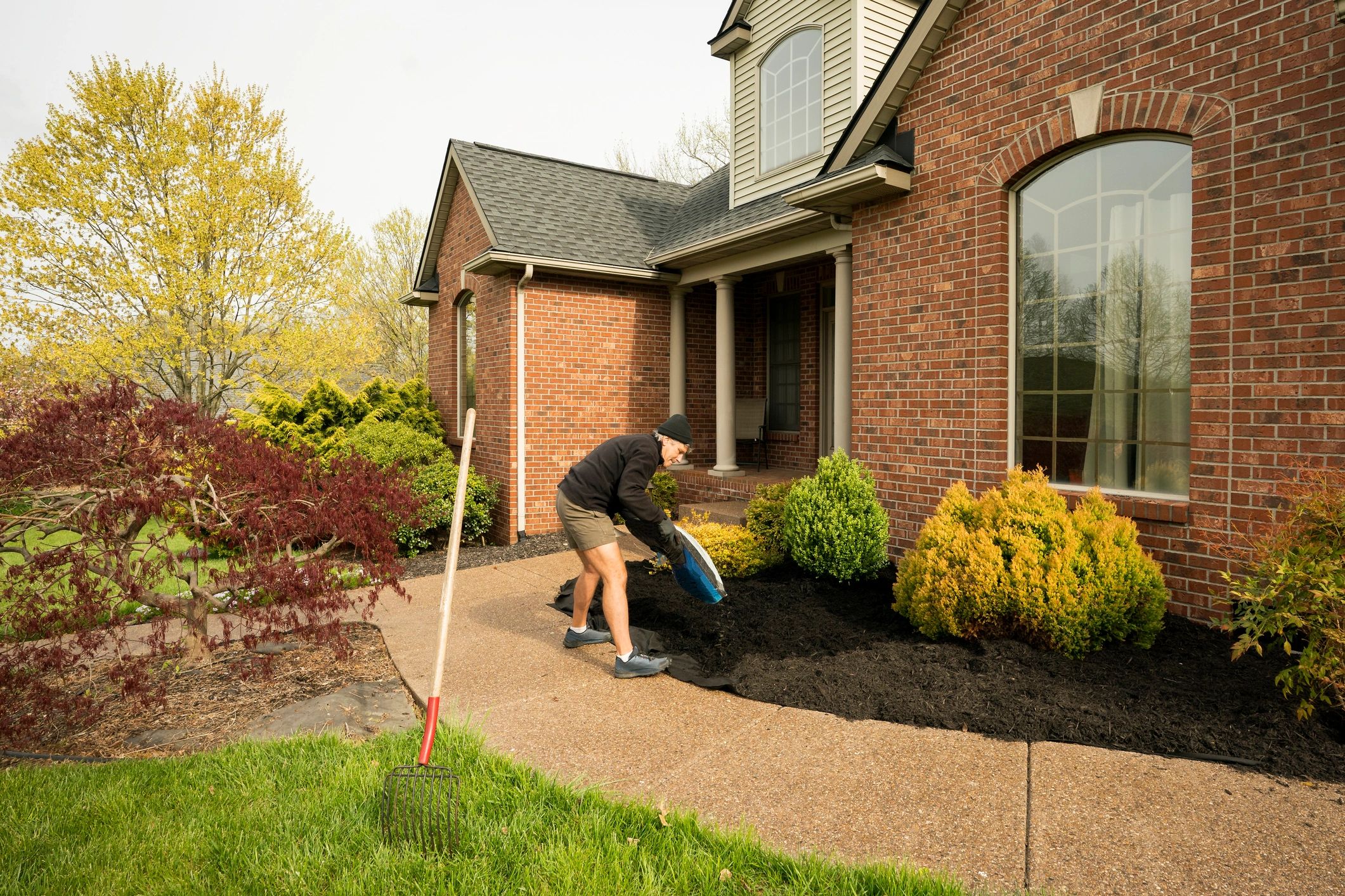 Professional Lawn Care