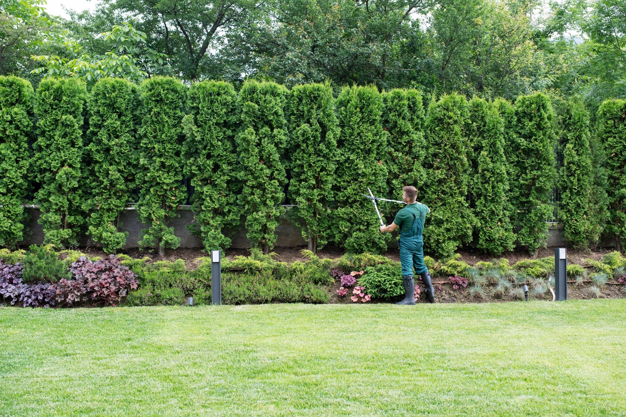 Expert Tree & Bush Trimming