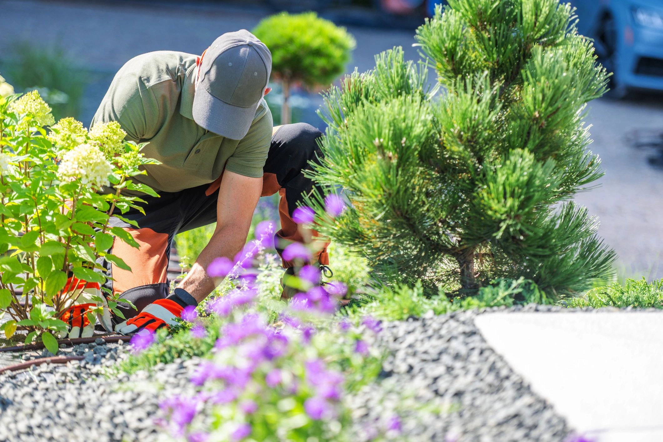 Expertly trimmed lawn and bushes in a residential yard