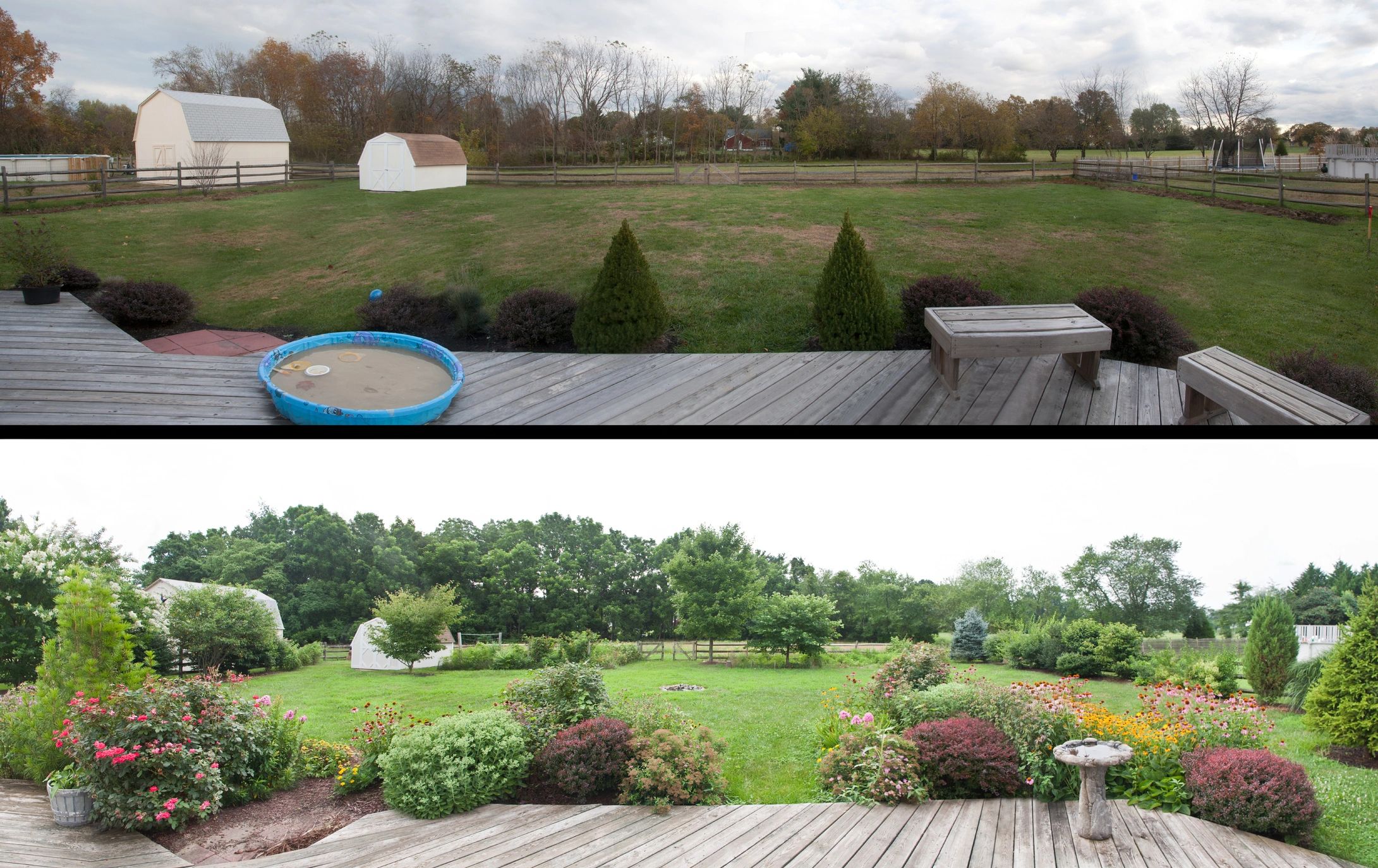 Modern Landscape Design